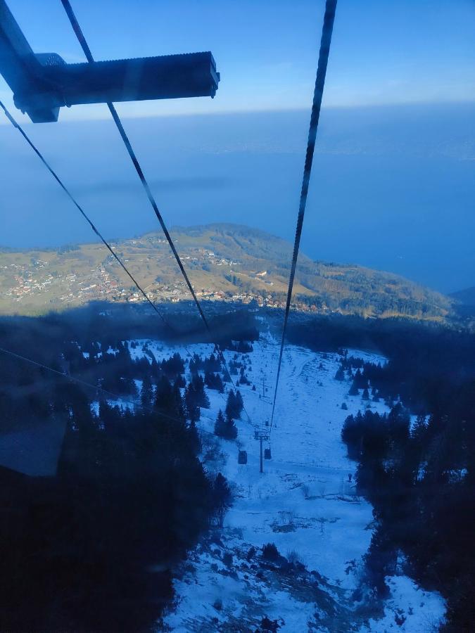Chalet Recent Coeur Station Толлон Экстерьер фото